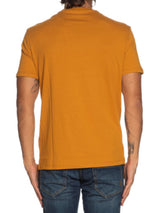 Armani Exchange T-shirt Regular Fit In Jersey Senape