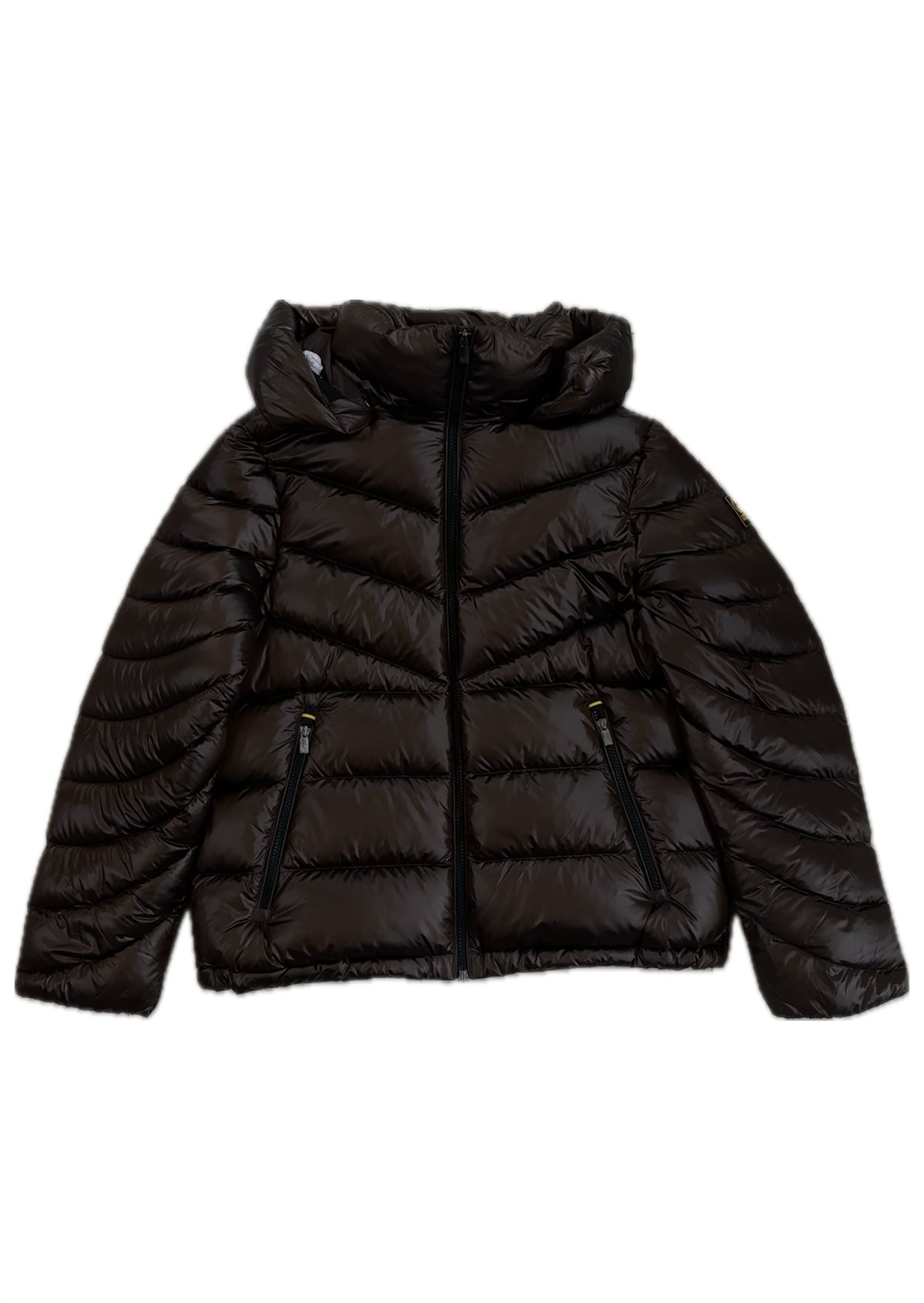 Ciesse Piumini Piumino Corto Con Cappuccio Staccabile Chocolate